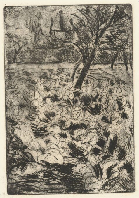 Camille Pissarole champ de choux 1878-1880, gravure, vernis mou