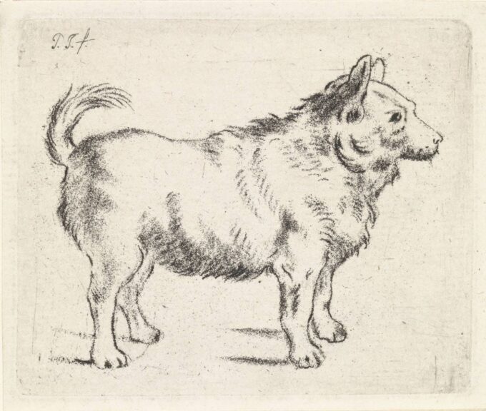 Chien flanc droit collection Rijksmuseum