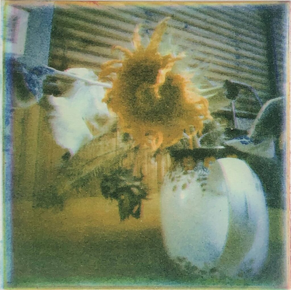 Dominique Martigne photogravvure