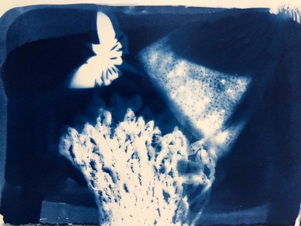 ateliers Migrateurs cyanotype