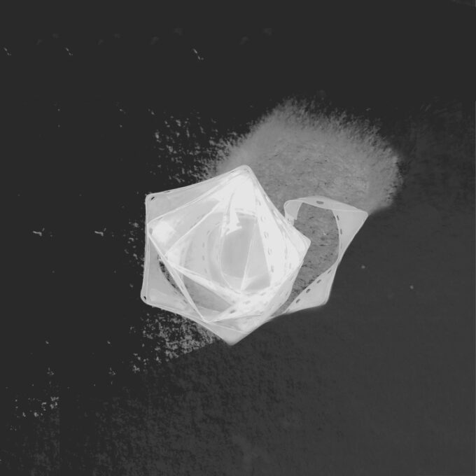 Magda Moraczewska photogramme