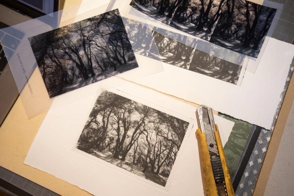 typons ou contretypes photogravure, Claude P